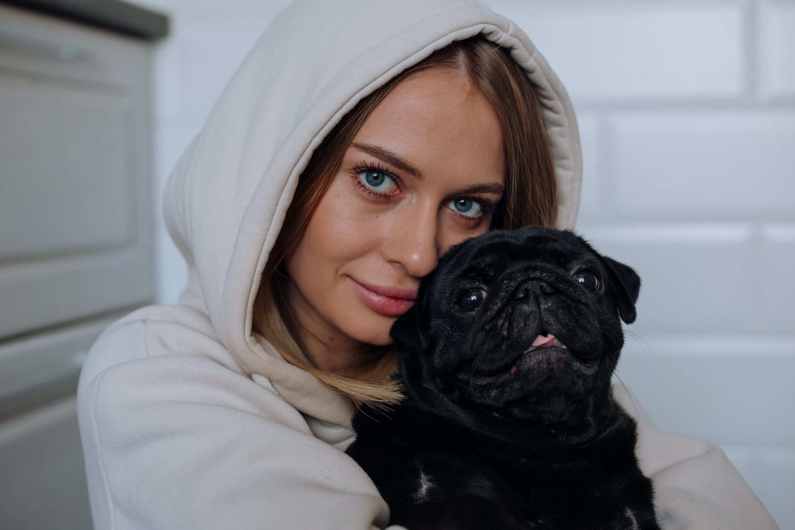 Top 10 Dog Breeds That Thrive on Human Companionship